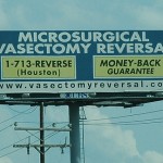 Vasectomy Reversal