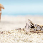 An engagement ring left behind on the beach